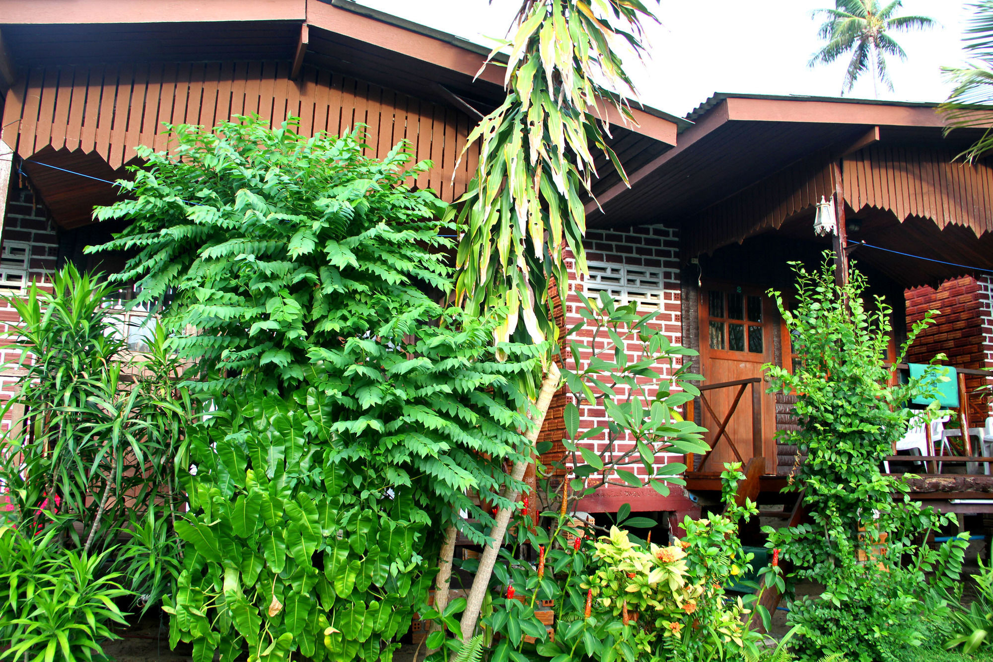 The Boardroom Beach Bungalows Бопхут Екстер'єр фото